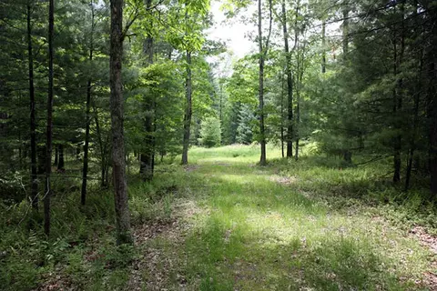 lot23 Serenity Dr, Delaware, NY 12723