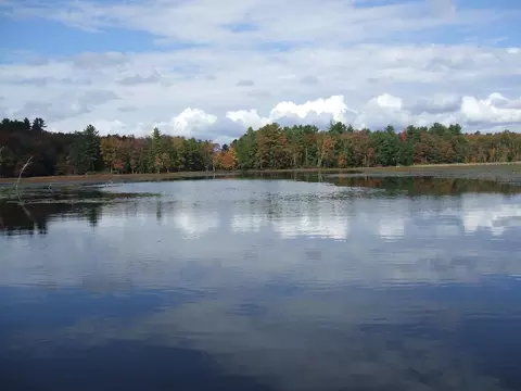 Rt-17b, Bethel, NY 12720