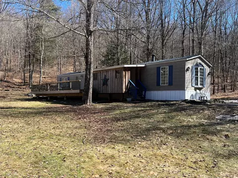 734 Shaver Hollow Rd, Andes, NY 13731