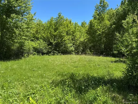 Parcel 1 - Tbd Woodstock Road, Washington, NY 12545