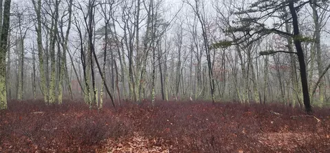 Peewee Trail, Mamakating, NY 12790