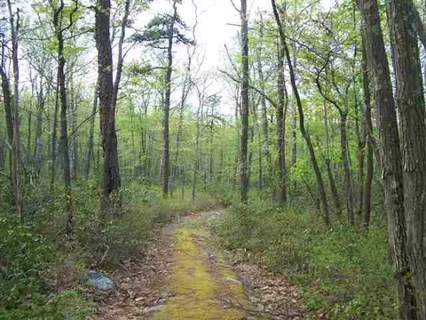 New Road, Mamakating, NY 12790