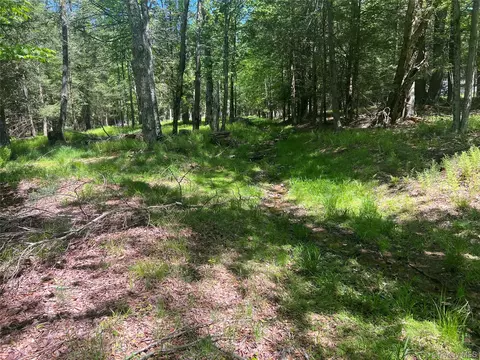 95 Old Tacy Rd, Bethel, NY 12783