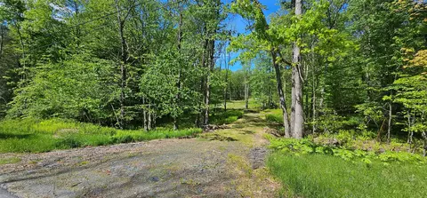 lot61 Cushetunk Dr, Cochecton, NY 12726