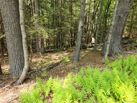Highland Lake, Highland, NY 12732