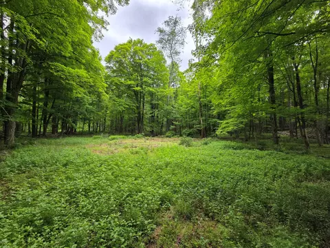 tbd State Route 209, Mamakating, NY 12790