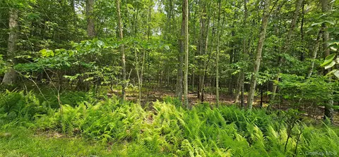 lot3 Woods Rd, Highland, NY 12719