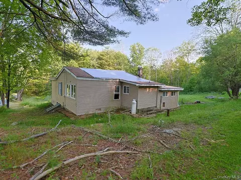 67 Budd Rd, Mamakating, NY 12790