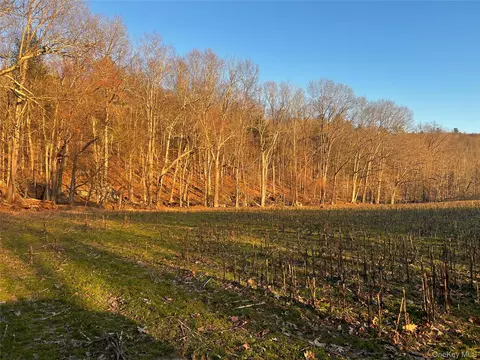 00 State Route 97 Rte, Cochecton, NY 12726