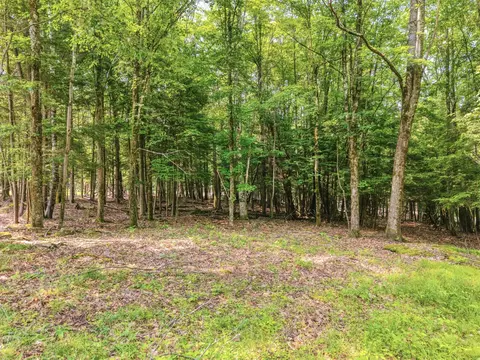 tbd Boulder Brook Lot B12 Rd, Windham, NY 12496 photo 11
