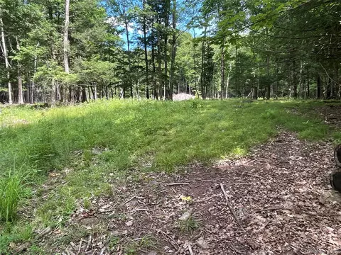 tbd Boulder Brook Lot B12 Rd, Windham, NY 12496 photo 8