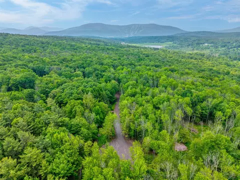 tbd Boulder Brook Lot B12 Rd, Windham, NY 12496 photo 31