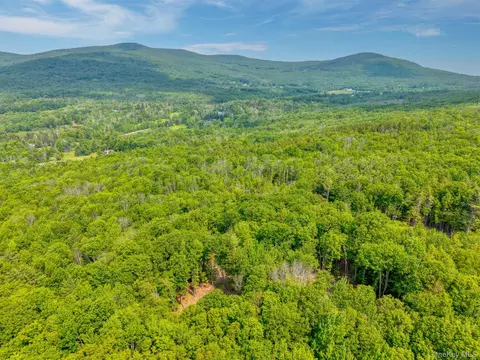 tbd Boulder Brook Lot B12 Rd, Windham, NY 12496 photo 13