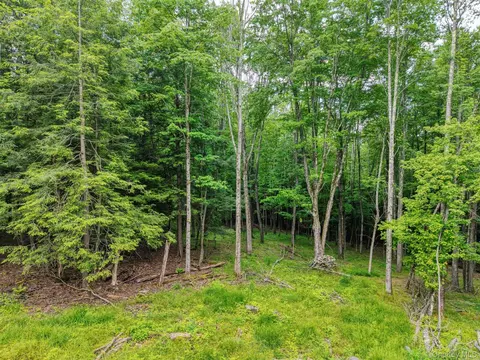 tbd Boulder Brook Lot B12 Rd, Windham, NY 12496 photo 6