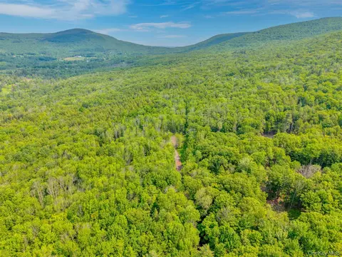 tbd Boulder Brook Lot B12 Rd, Windham, NY 12496 photo 12