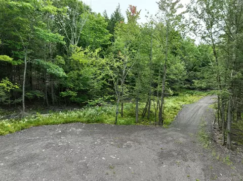 tbd Boulder Brook Lot B12 Rd, Windham, NY 12496 photo 39