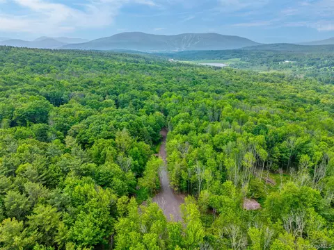 tbd Boulder Brook Lot B12 Rd, Windham, NY 12496 photo 25