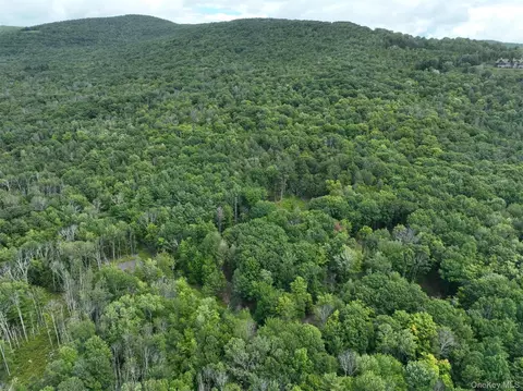 tbd Boulder Brook Lot B12 Rd, Windham, NY 12496 photo 44