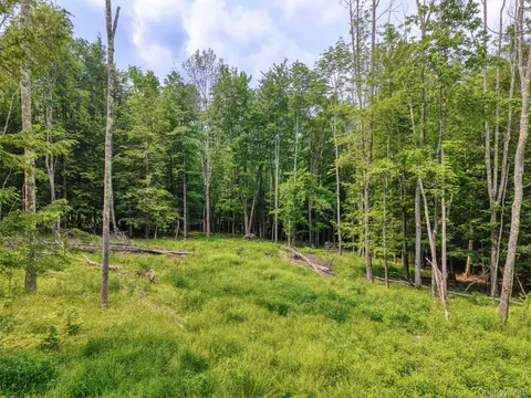 tbd Boulder Brook Lot B12 Rd, Windham, NY 12496 photo 5