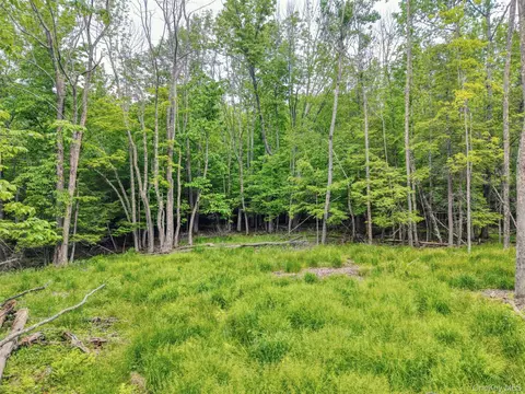 tbd Boulder Brook Lot B12 Rd, Windham, NY 12496 photo 7