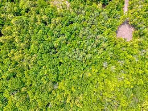 tbd Boulder Brook Lot B12 Rd, Windham, NY 12496 photo 34