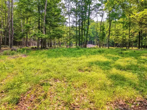 tbd Boulder Brook Lot B12 Rd, Windham, NY 12496 photo 10
