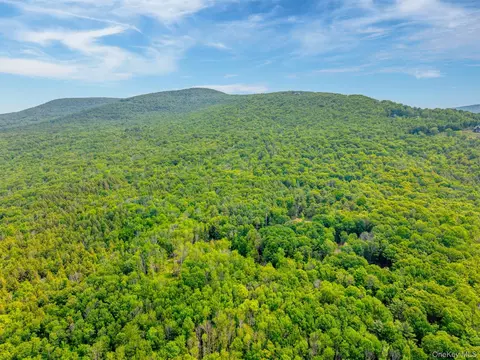tbd Boulder Brook Lot B12 Rd, Windham, NY 12496 photo 22