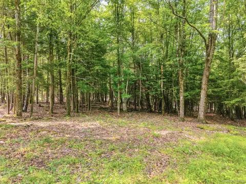 tbd Boulder Brook Lot B12 Rd, Windham, NY 12496 photo 9