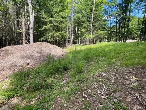 tbd Boulder Brook Lot B12 Rd, Windham, NY 12496 photo 4