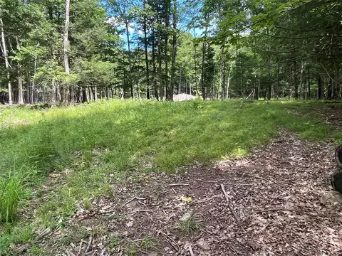 tbd Boulder Brook Lot B12 Rd, Windham, NY 12496 photo 9