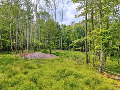 tbd Boulder Brook Lot B12 Rd, Windham, NY 12496 photo 10