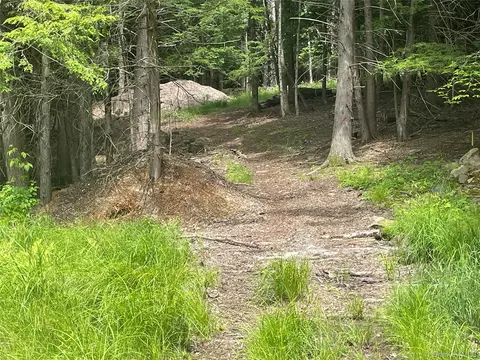 tbd Boulder Brook Lot B12 Rd, Windham, NY 12496 photo 3