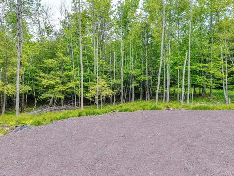 tbd Boulder Brook Lot B12 Rd, Windham, NY 12496 photo 36