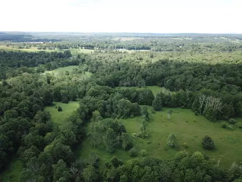 Bushville Road, Bethel, NY 12720