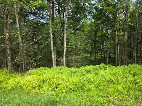 Gregory Road, Thompson, NY 12701