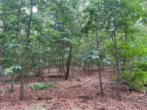 lot28 Scout Trl, Brookhaven, NY 11961