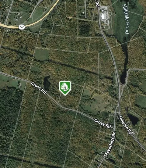 Cross Farm Road, Fallsburg, NY