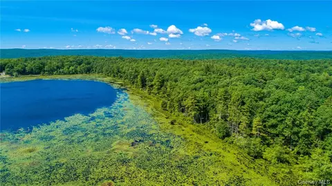 lot9 678910111213 Elle Dr, Lumberland, NY 12737