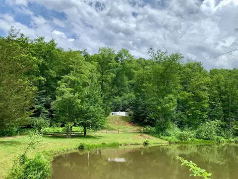 Chiloway Road, Hancock, NY 12776