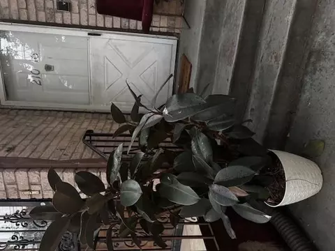 21014 Hillside Ave, New York, NY 11427