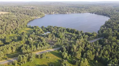 324 Acres Sackett Lake Rd, Thompson, NY 12701