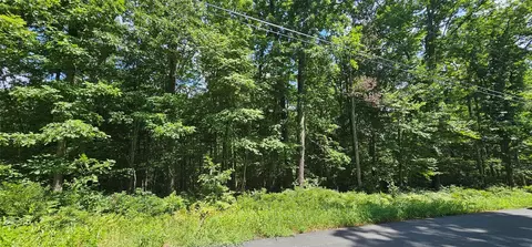 lot23 23 Perry Pond Rd, Tusten, NY 12764