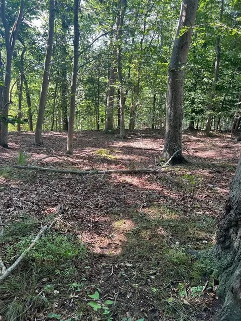 Fern Road, Riverhead, NY 11933 photo 3