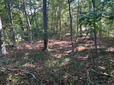 Fern Road, Riverhead, NY 11933 photo 5