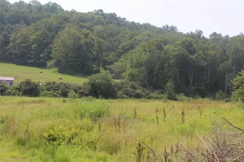 Dutch Hill, Callicoon, NY 12776
