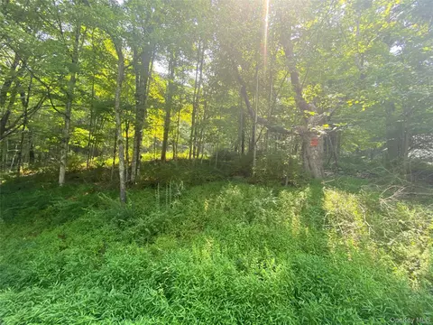 South Road, Mamakating, NY 12790