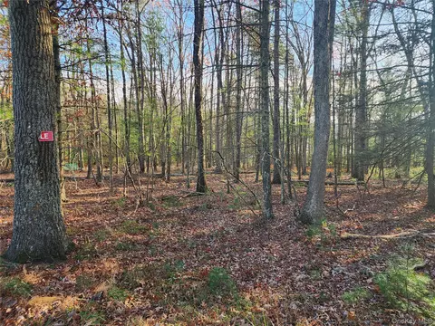 0 Taras Schevchenko Rd, Lumberland, NY 12737