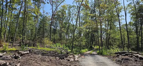 lot8 1 Eckes Rd, Tusten, NY 12764