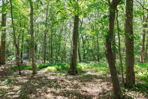Belle Terre Road, Brookhaven, NY