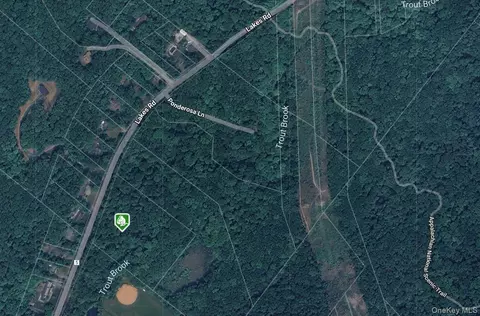 1187 Lakes Rd, Monroe, NY 10950